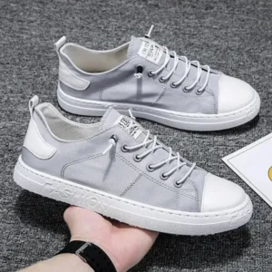 Saraastyle Men Casual Canvas Shoes